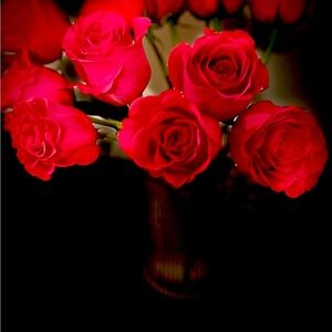 Meet your Posher, Taisha